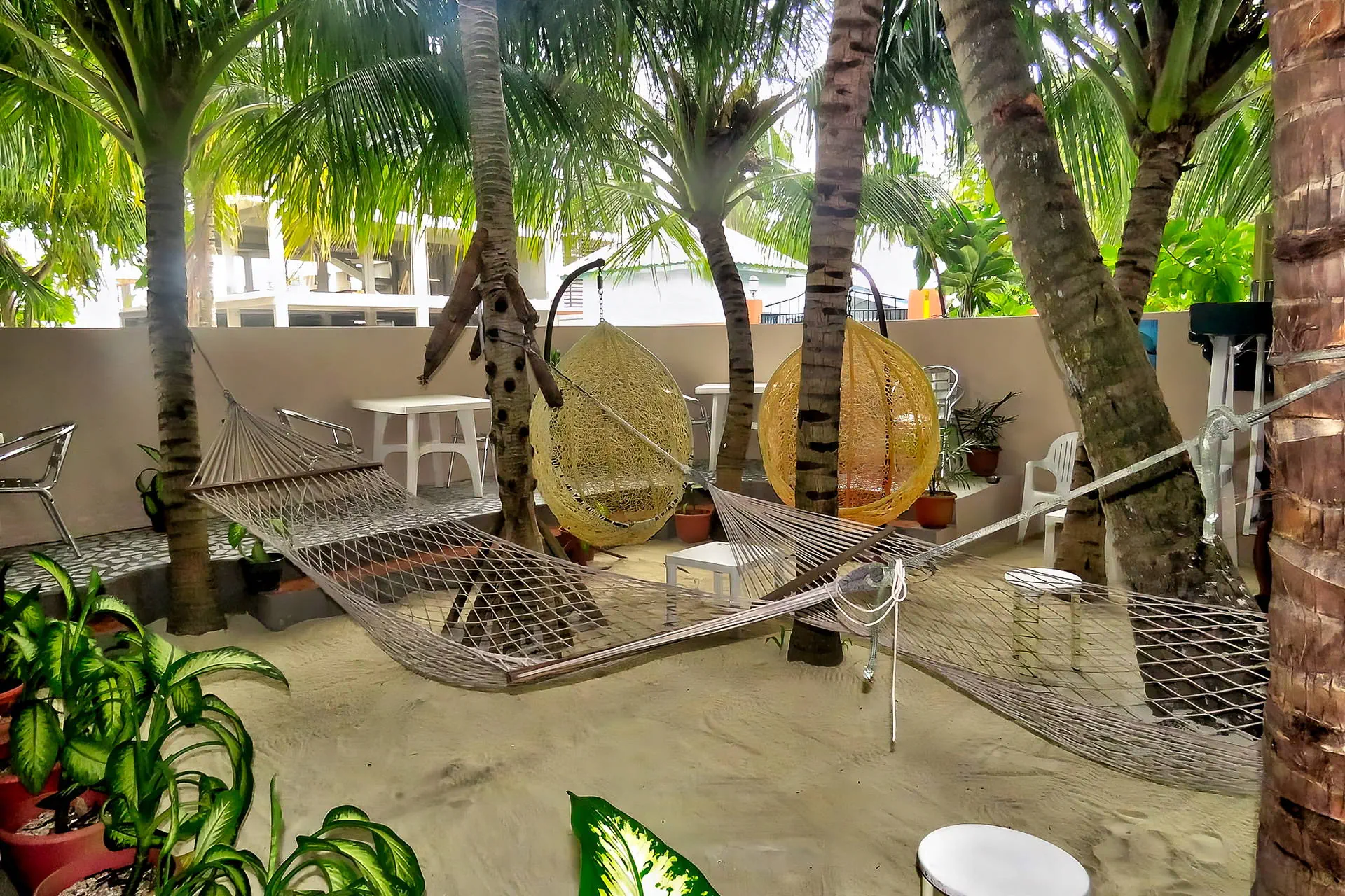 Stingray Beach Inn 3*, фото 4