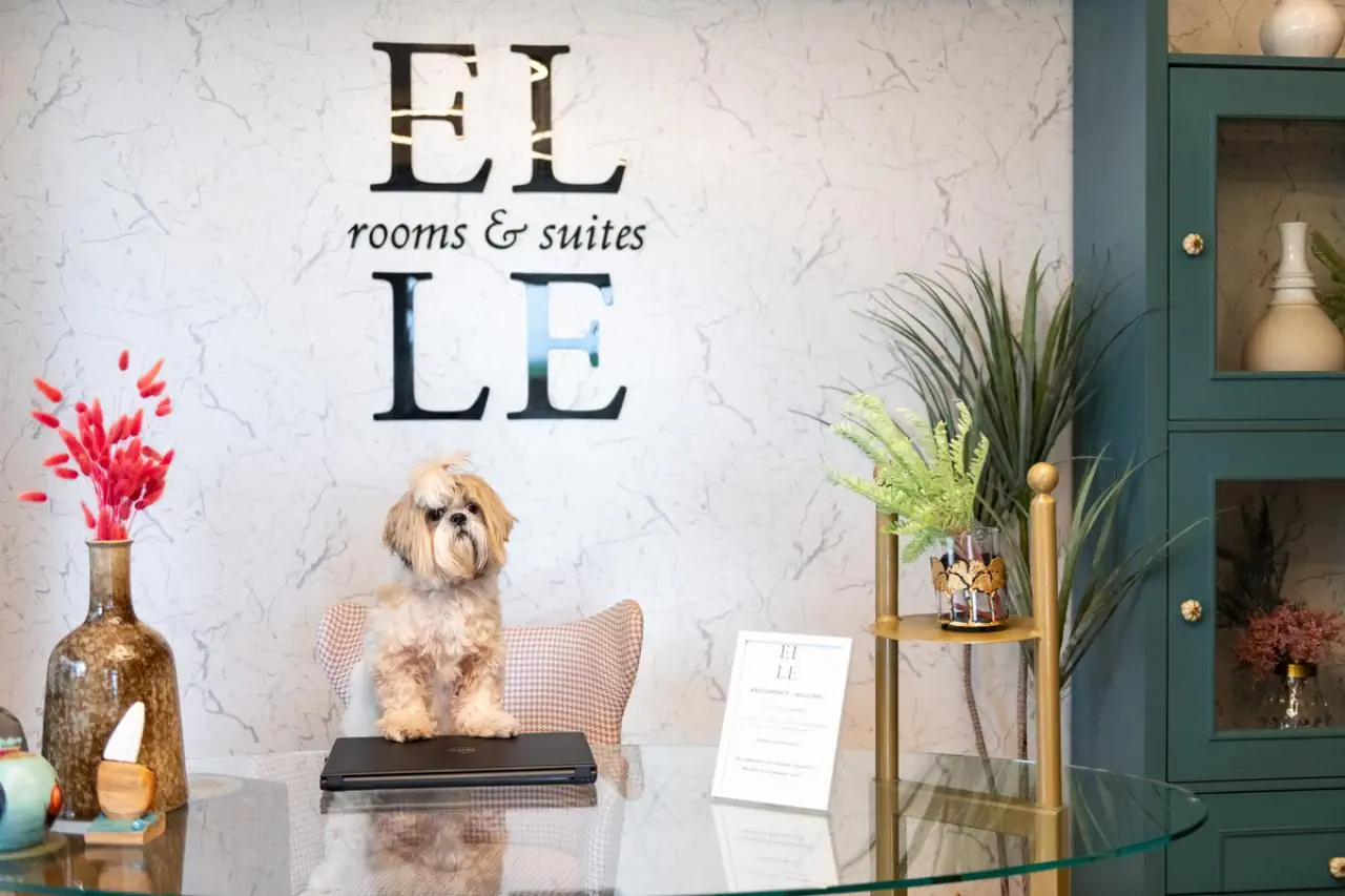 ELLE Rooms & Suites 3*, фото 4