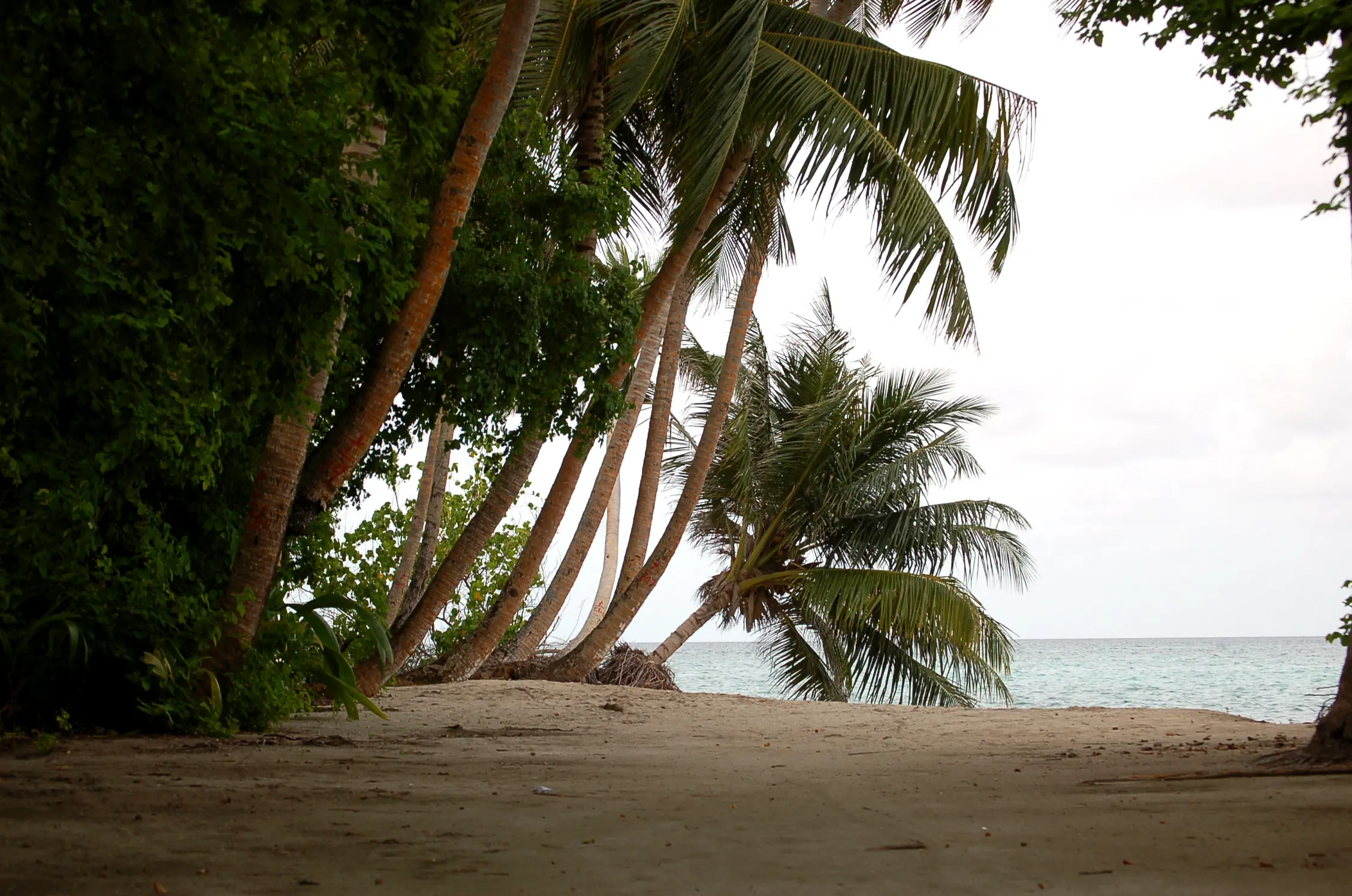 Vaali Maldives Island Escapes & Dive 3*, фото 14