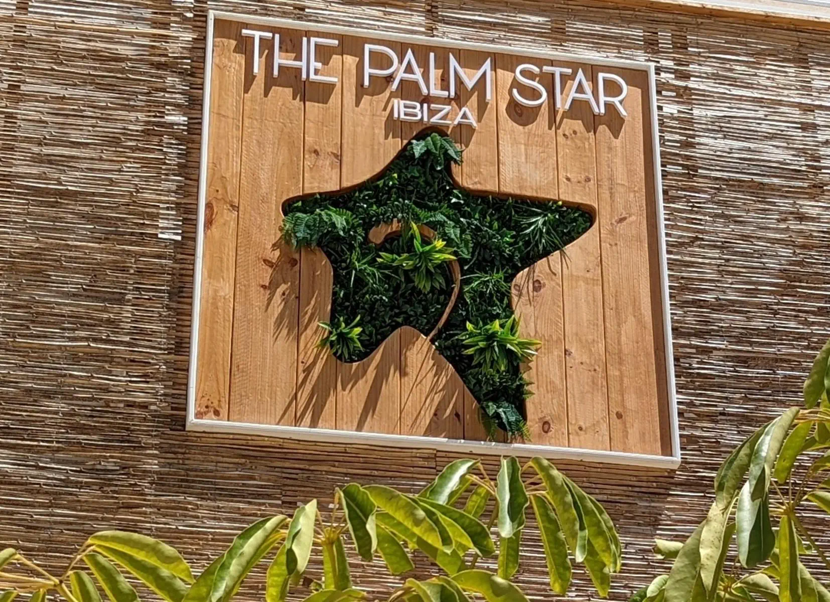 The Palm Star 2*, фото 5