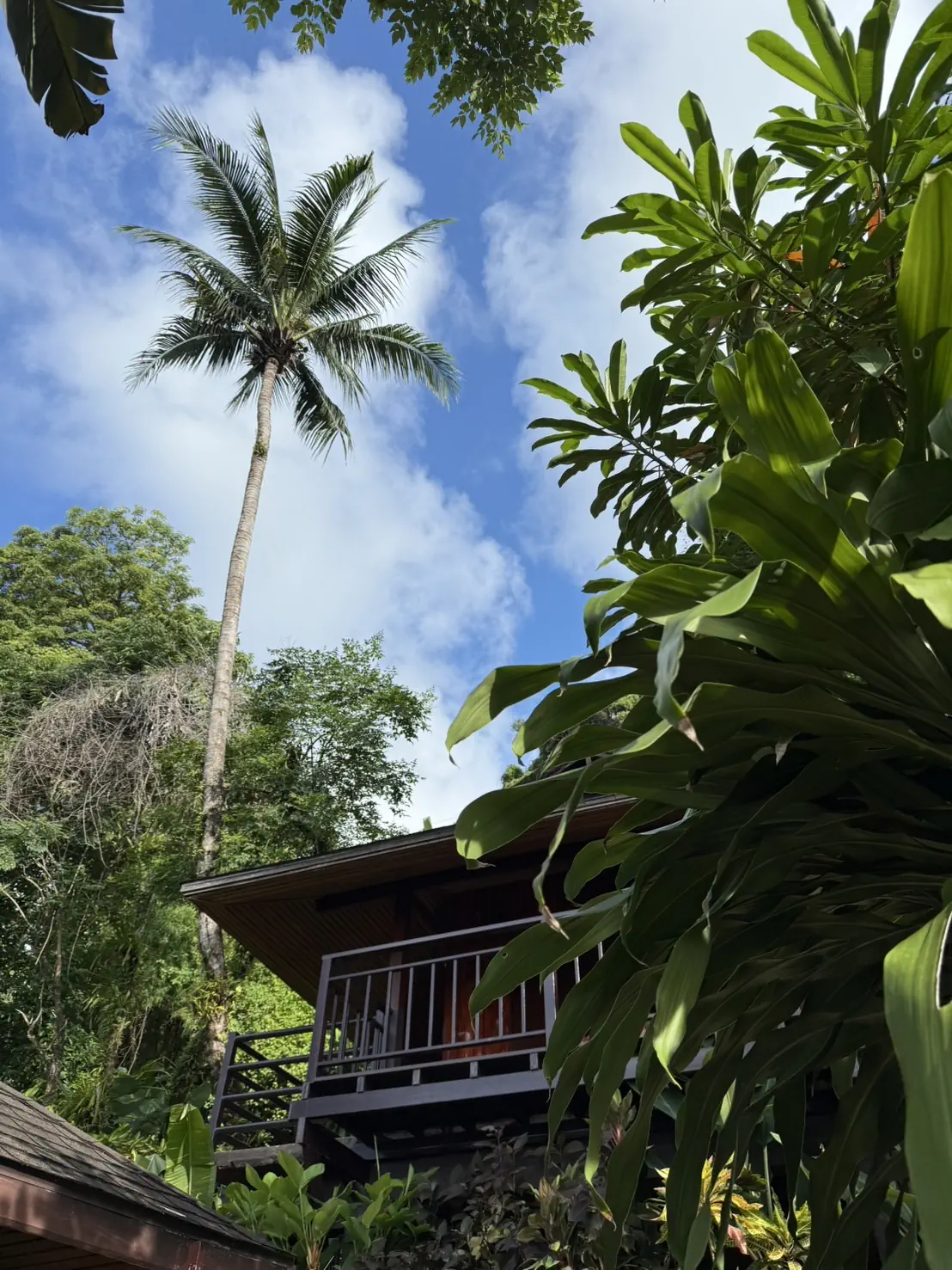 Baan Krating Khao Lak Resort 3*, фото 4
