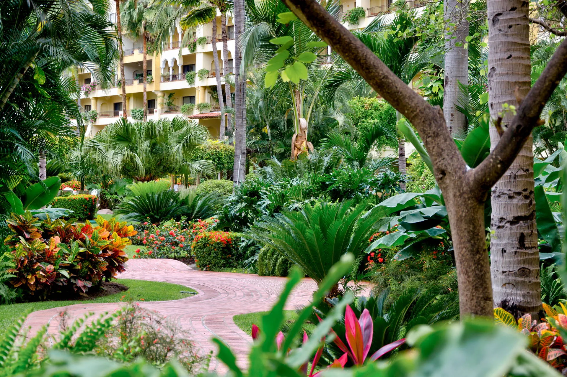 Velas Resort, фото 4
