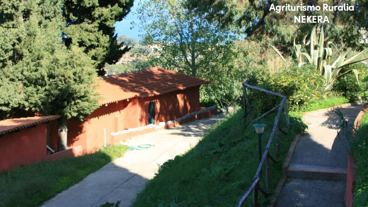 Agriturismo Ruralia 3*, фото 13