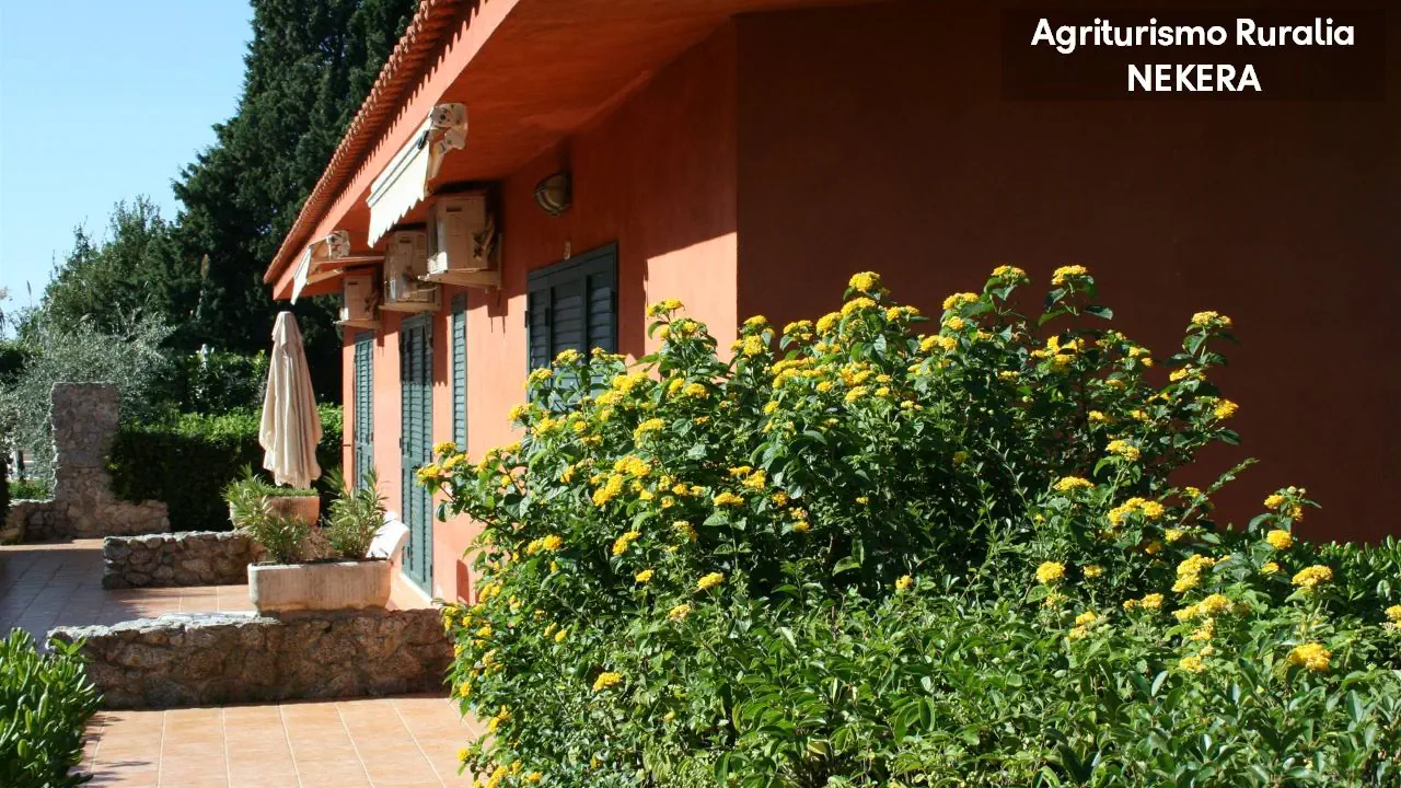 Agriturismo Ruralia 3*, фото 14