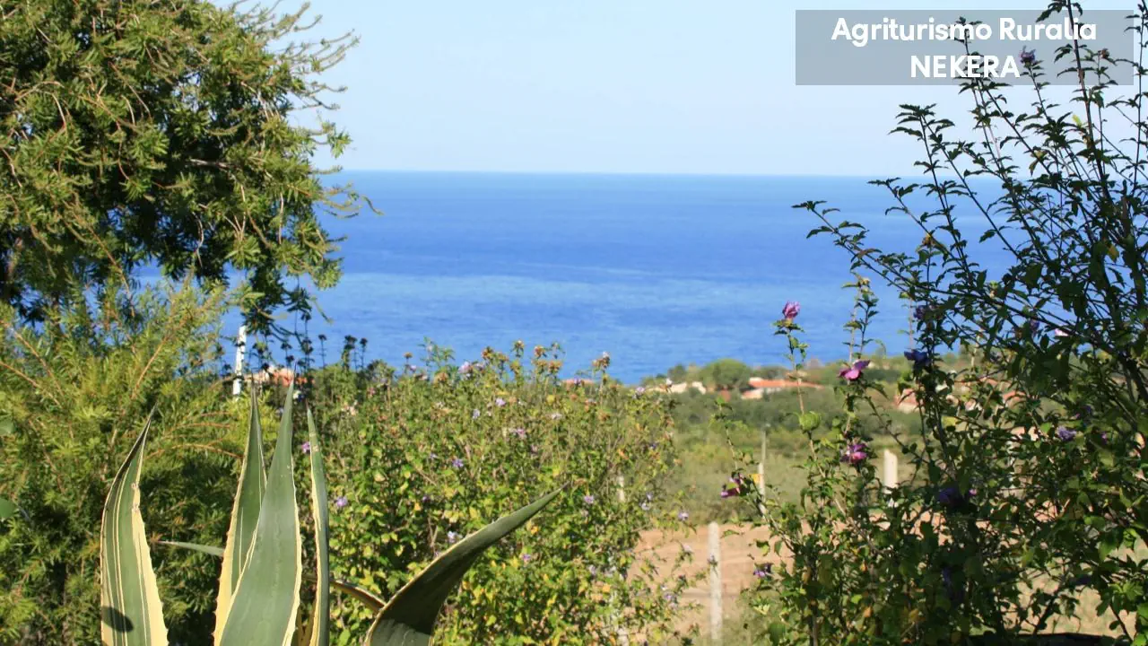 Agriturismo Ruralia 3*, фото 11