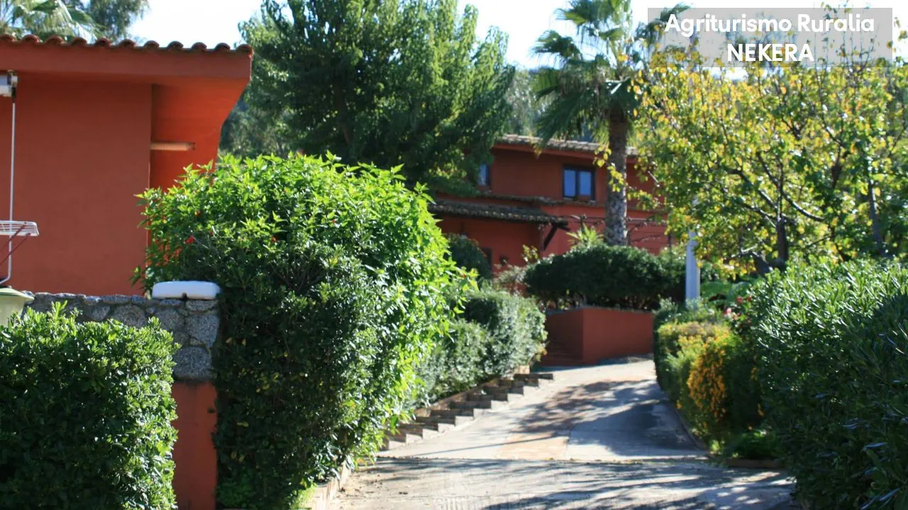 Agriturismo Ruralia 3*, фото 12