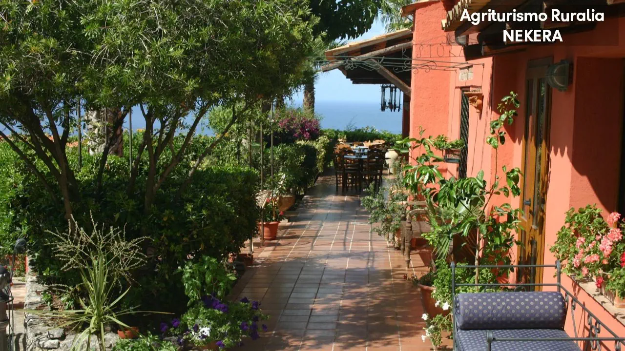 Agriturismo Ruralia 3*, фото 16