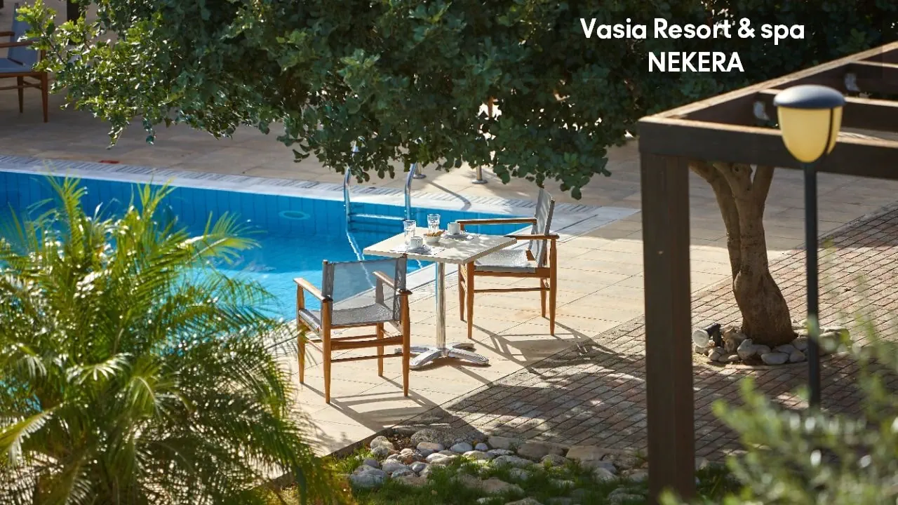 Vasia Resort & Spa 5*, фото 6