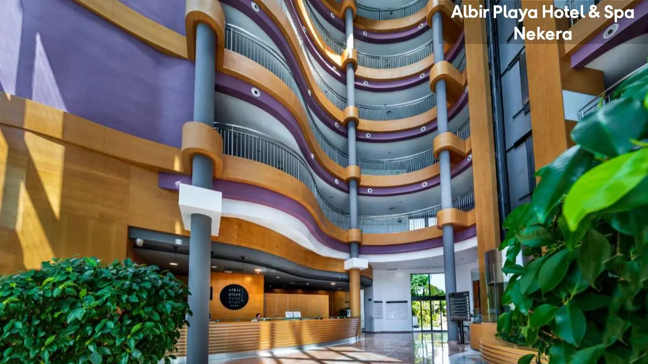 Albir Playa 4*, фото 11
