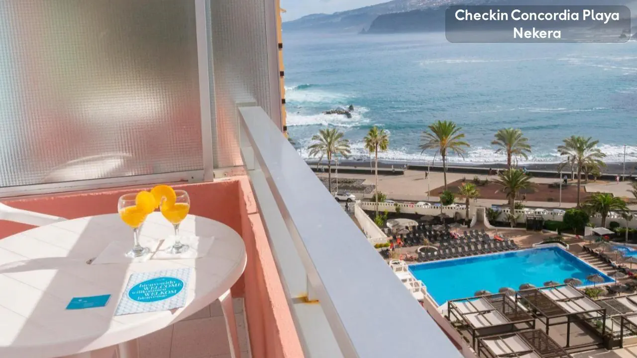 Checkin Concordia Playa 4*, фото 8