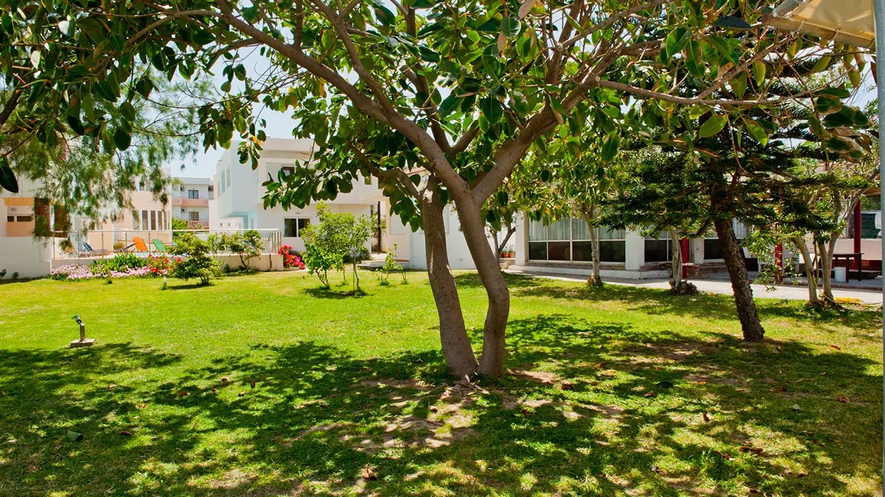 Aparthotel Thodorou 3*, фото 11
