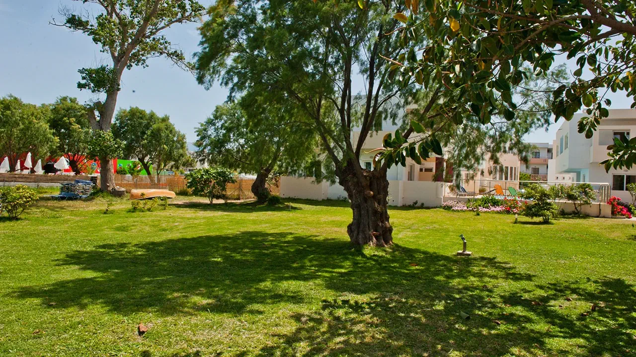 Aparthotel Thodorou 3*, фото 10