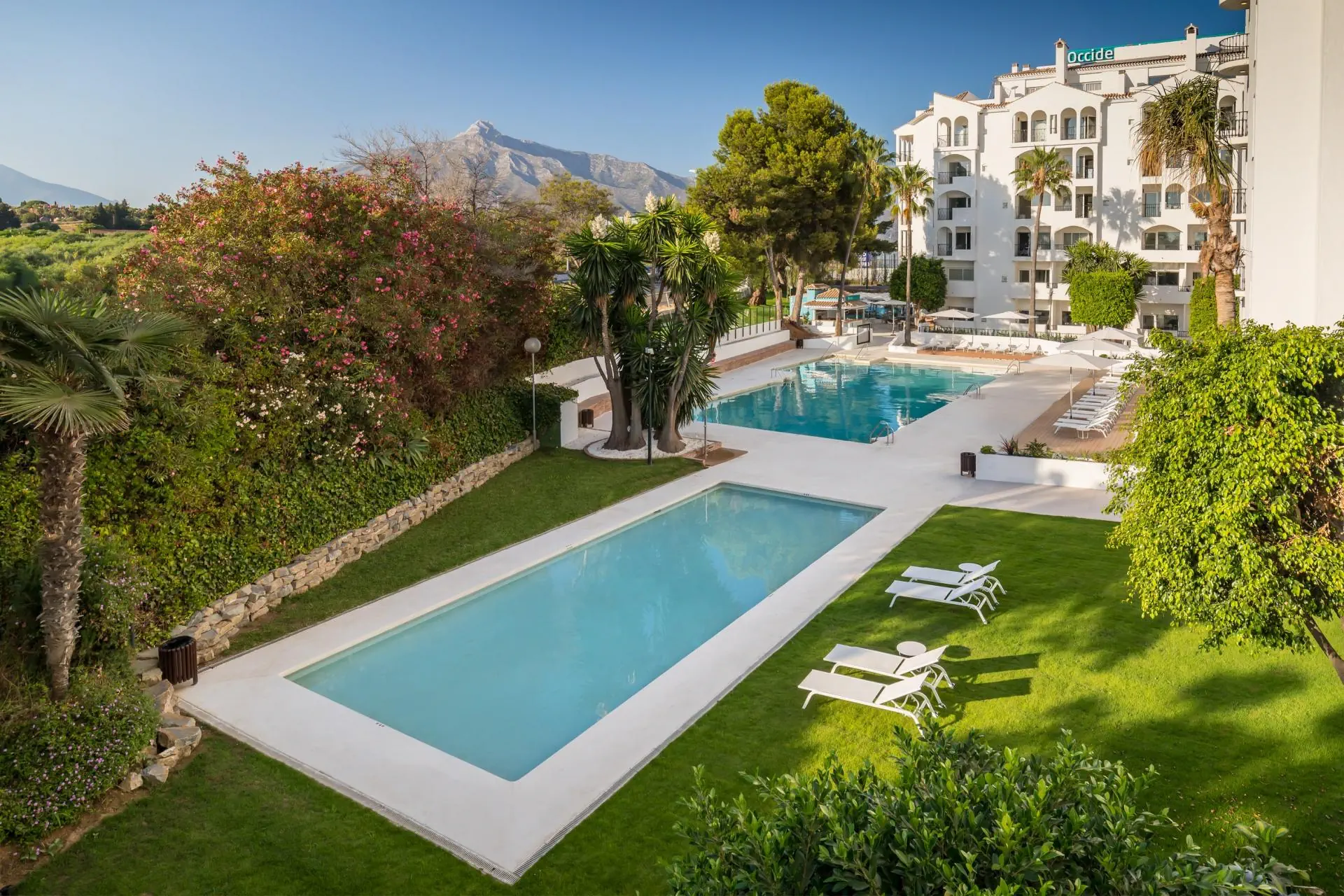 Occidental Puerto Banus 4*, фото 4