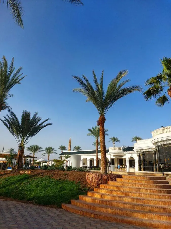 Seti Sharm Palm Beach Resort 4*, фото 7