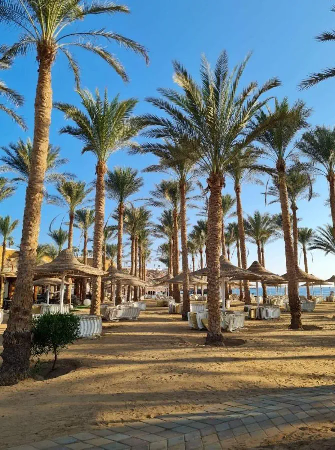 Seti Sharm Palm Beach Resort 4*, фото 6
