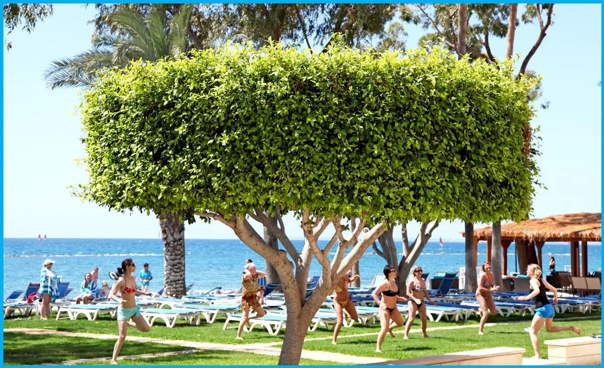 Poseidonia Beach 4*, фото 12