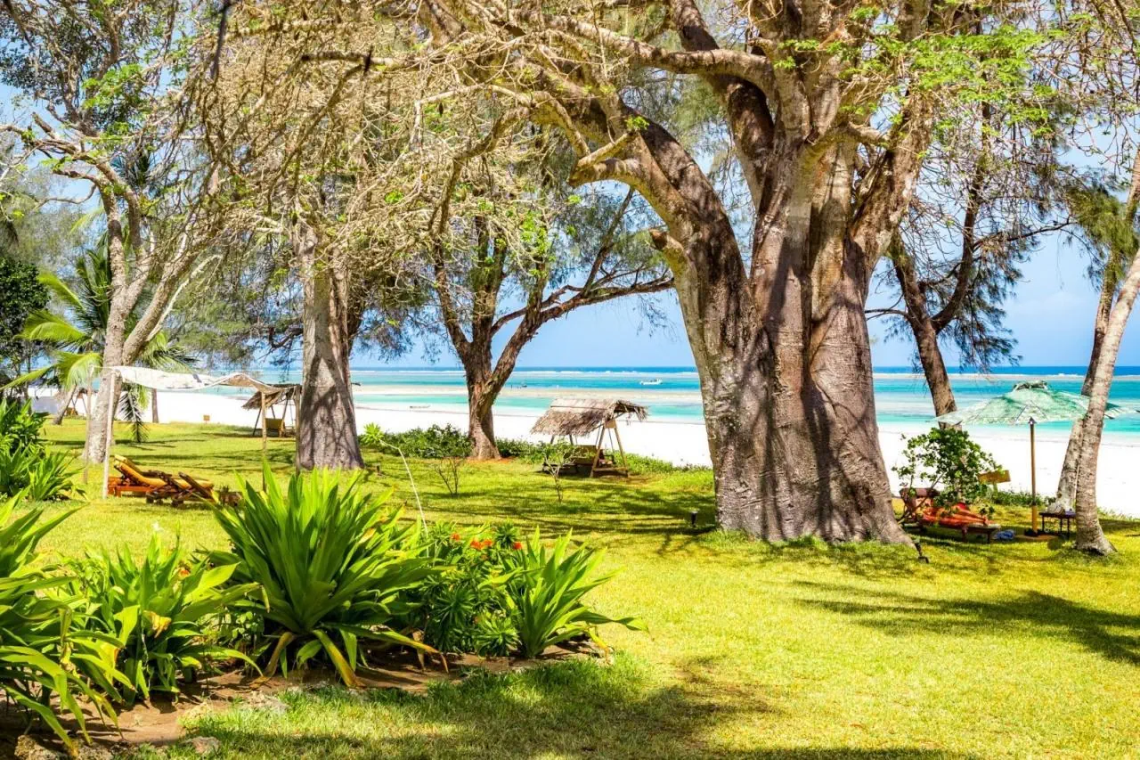 Nomad Beach Resort 4*, фото 10