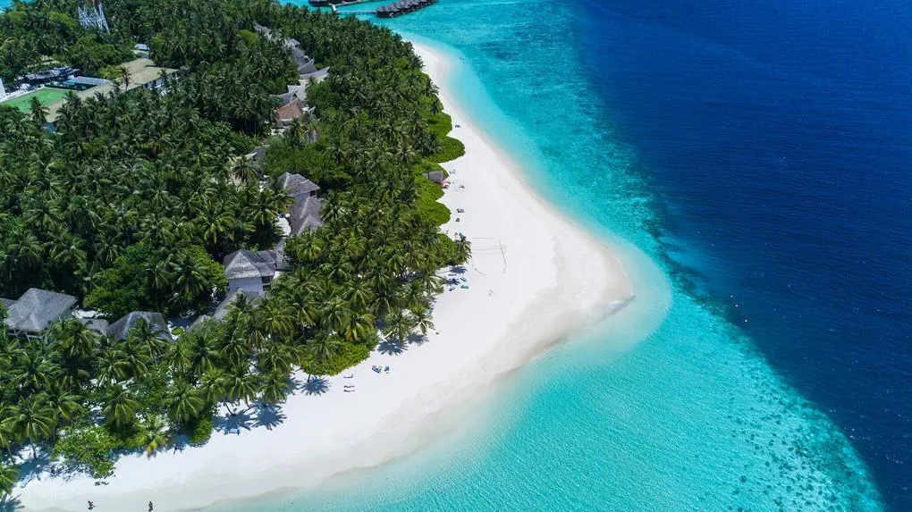 Fihalhohi Island Resort 3*, фото 10