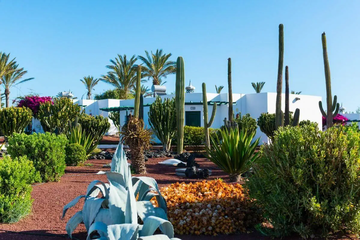 HL Club Playa Blanca 4*, фото 11