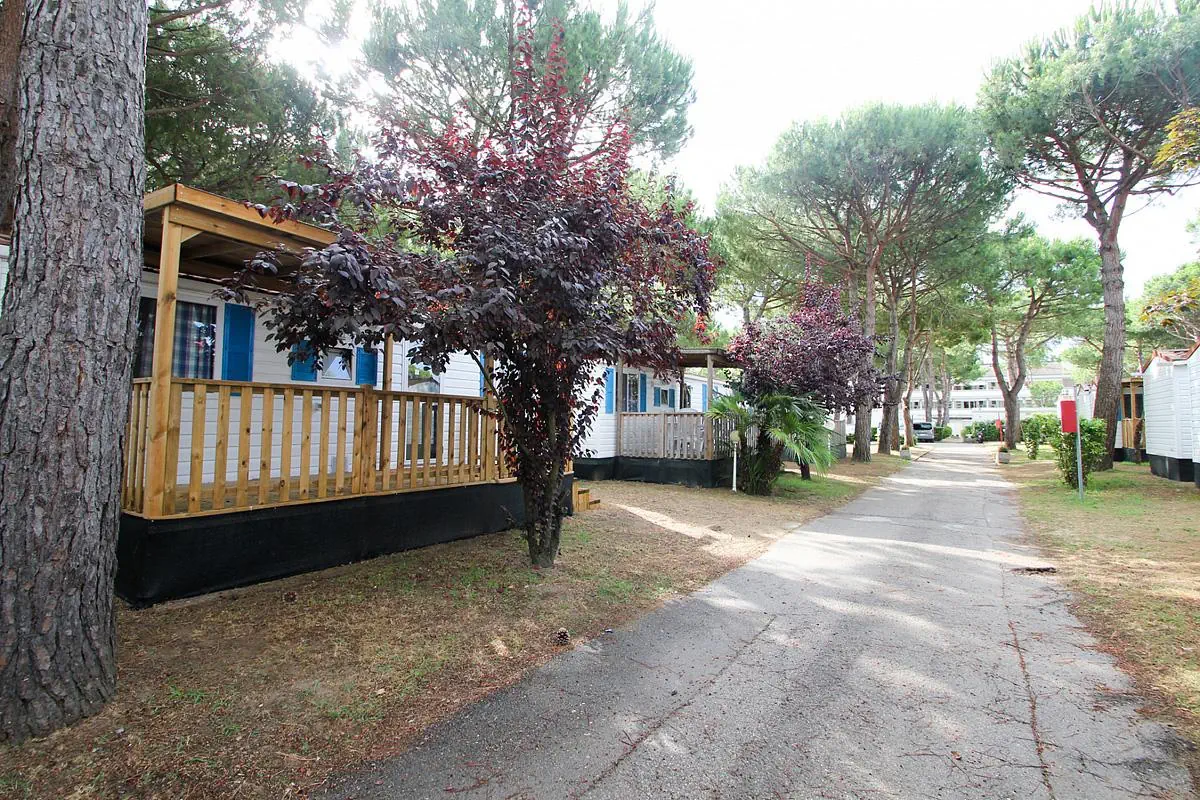 Camping Residence Village 4*, фото 10
