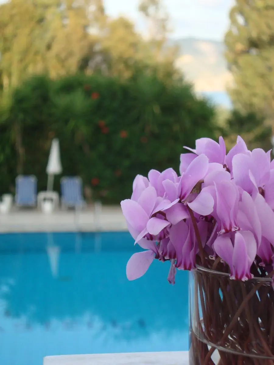 Castelli Hotel 4*