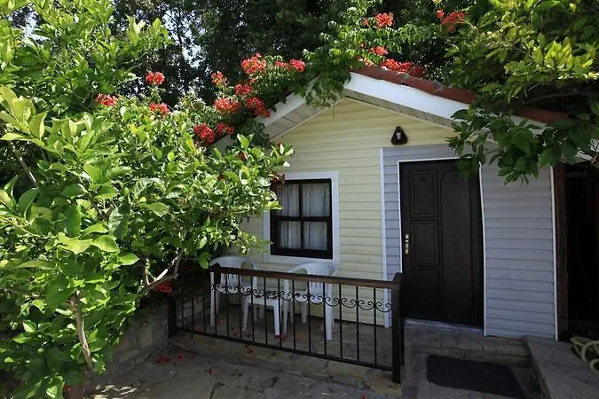 Leda Beach 2*, фото 12