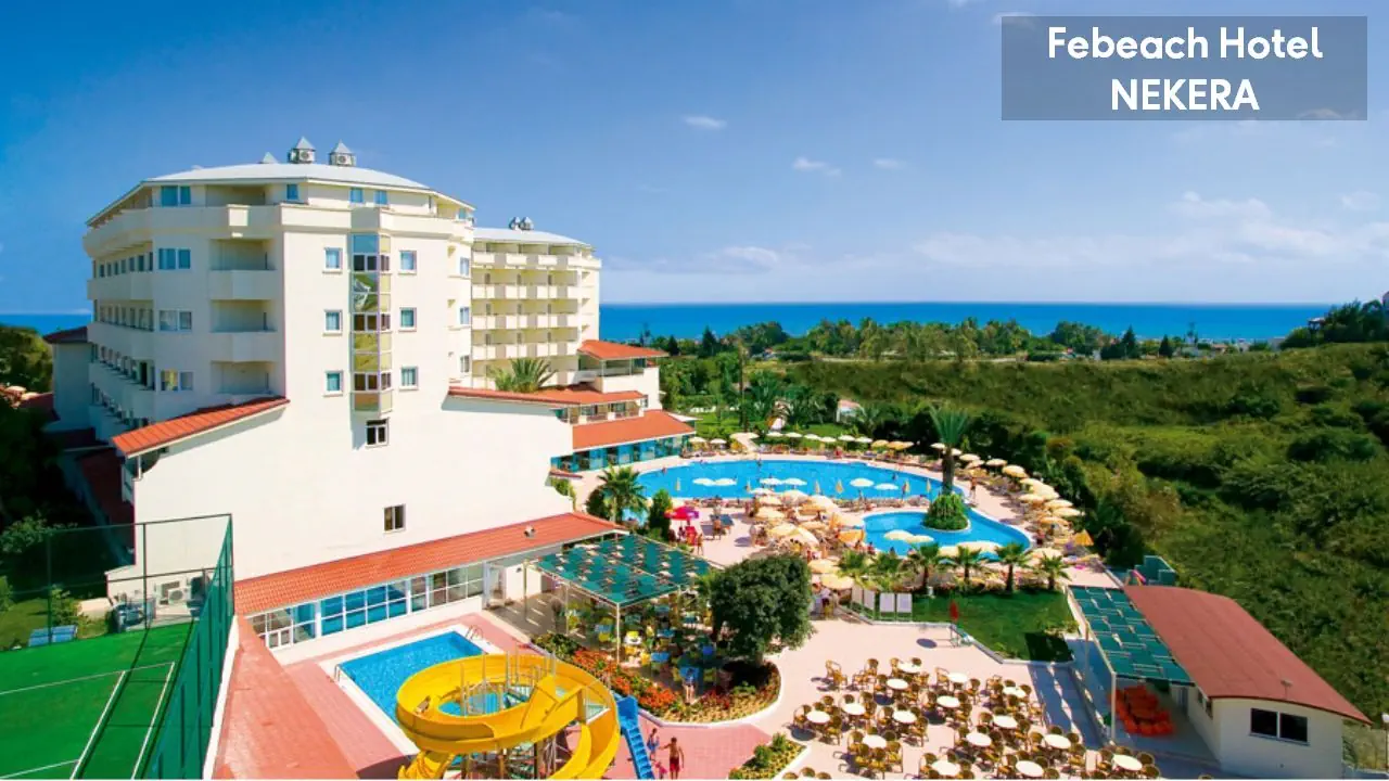 Febeach 4*, фото 7
