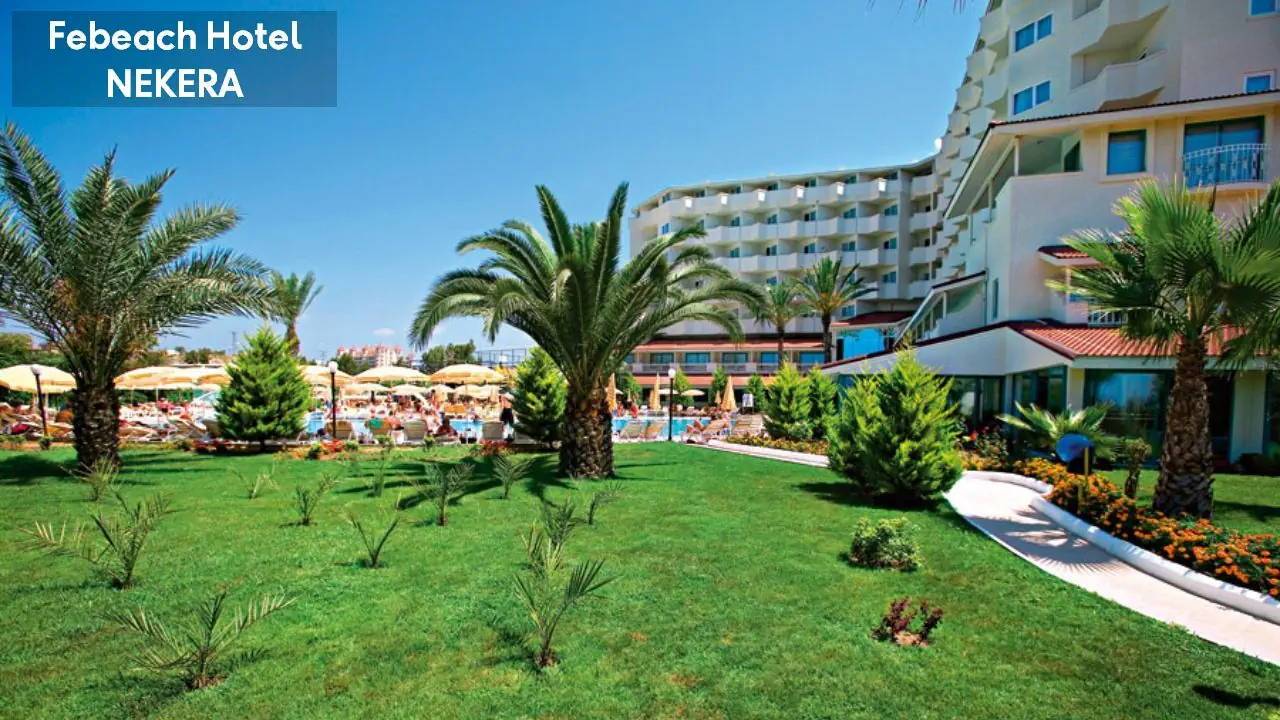 Febeach 4*, фото 9