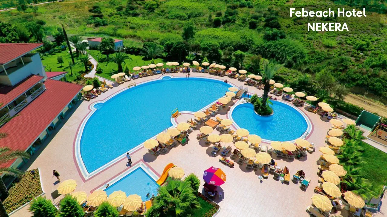 Febeach 4*, фото 12