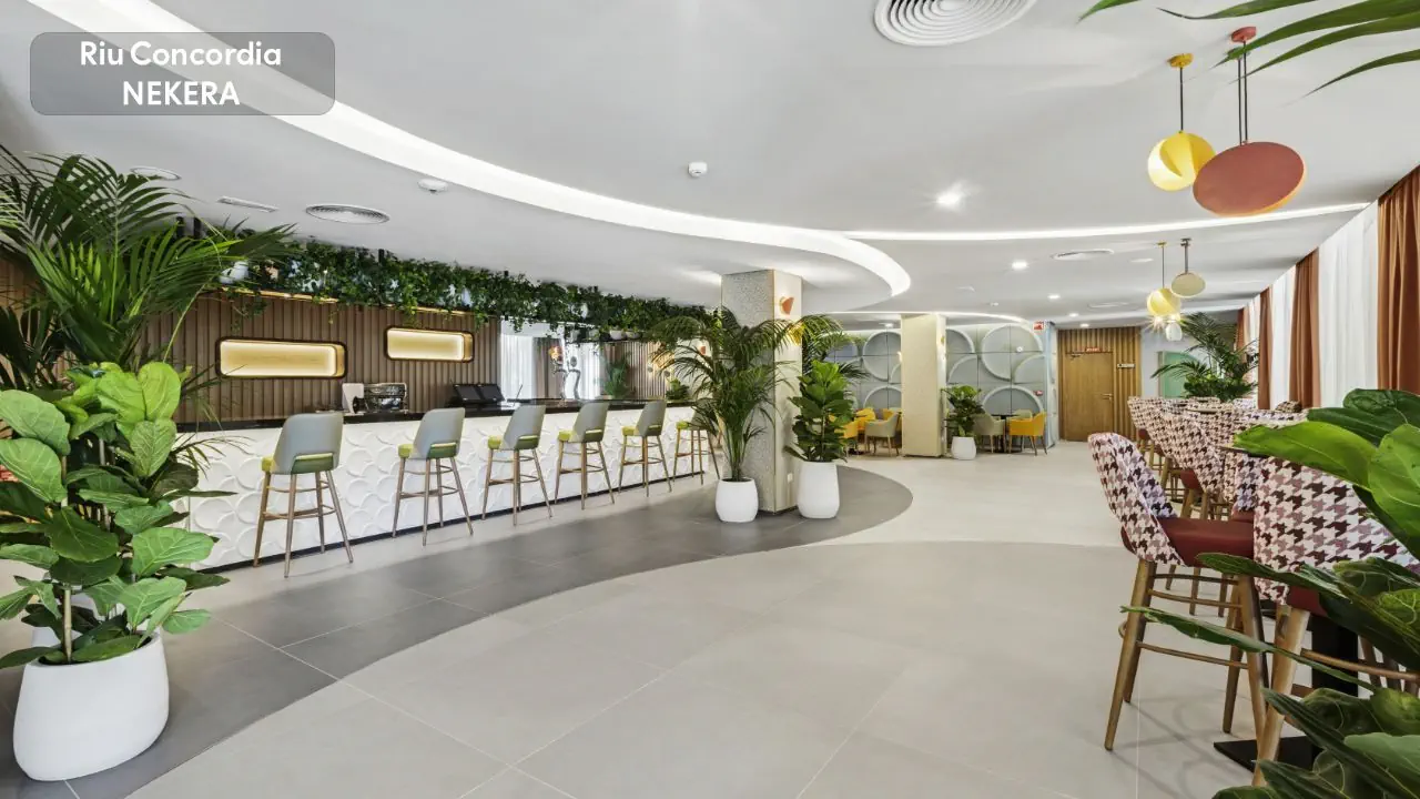 Riu Concordia 3*, фото 7