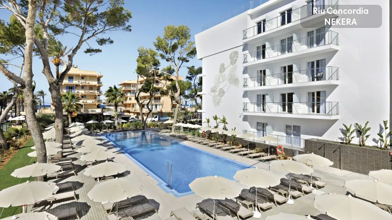Riu Concordia 3*, фото 2