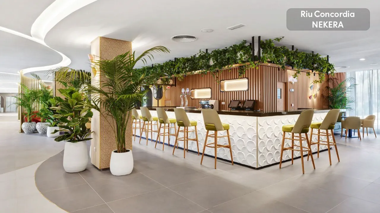 Riu Concordia 3*, фото 6