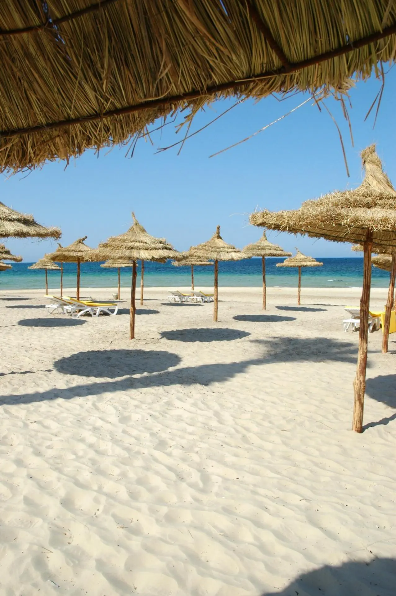 Thalassa Sousse 4*, фото 15