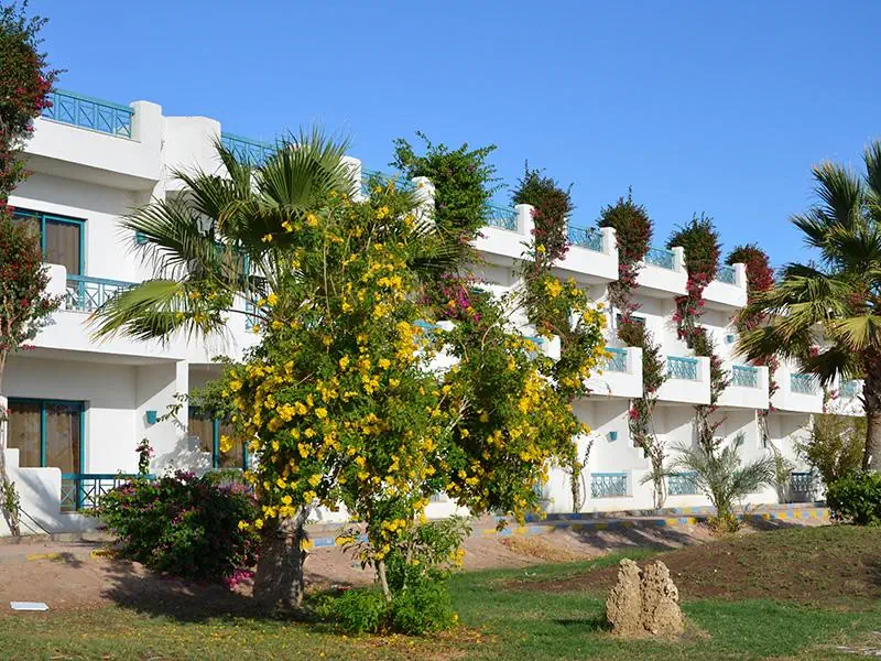 Sharm Cliff Resort 3*, фото 14