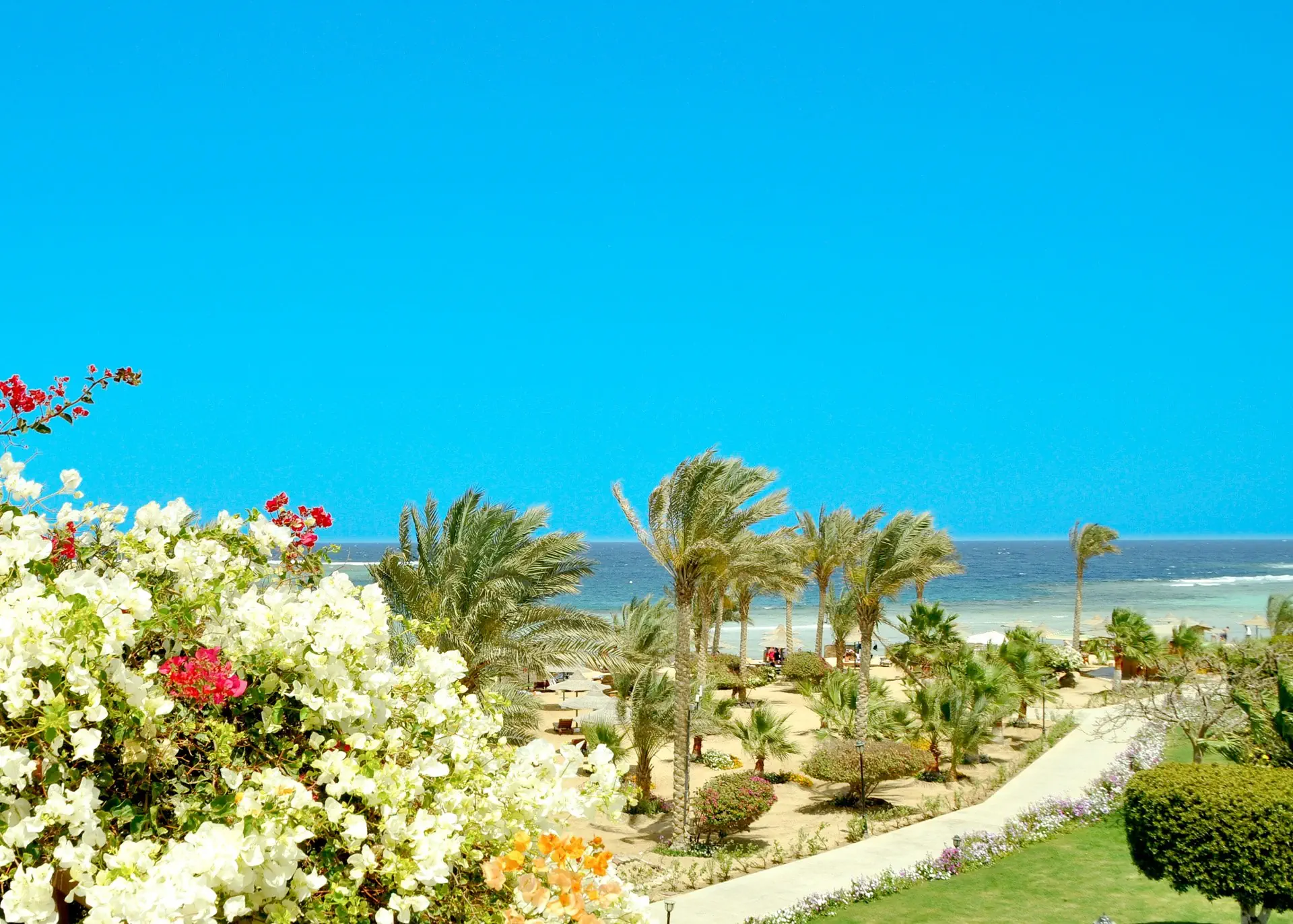 Royal Brayka Beach Resort 4*, фото 10