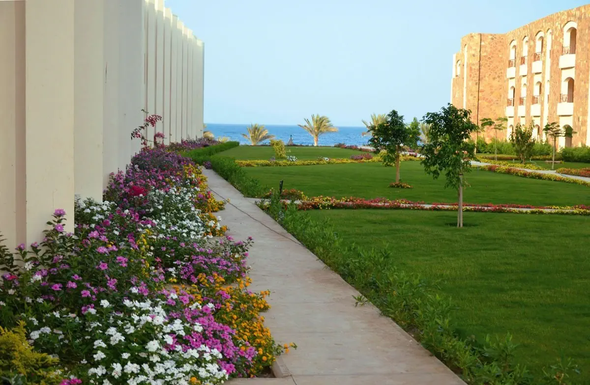 Royal Brayka Beach Resort 4*, фото 15