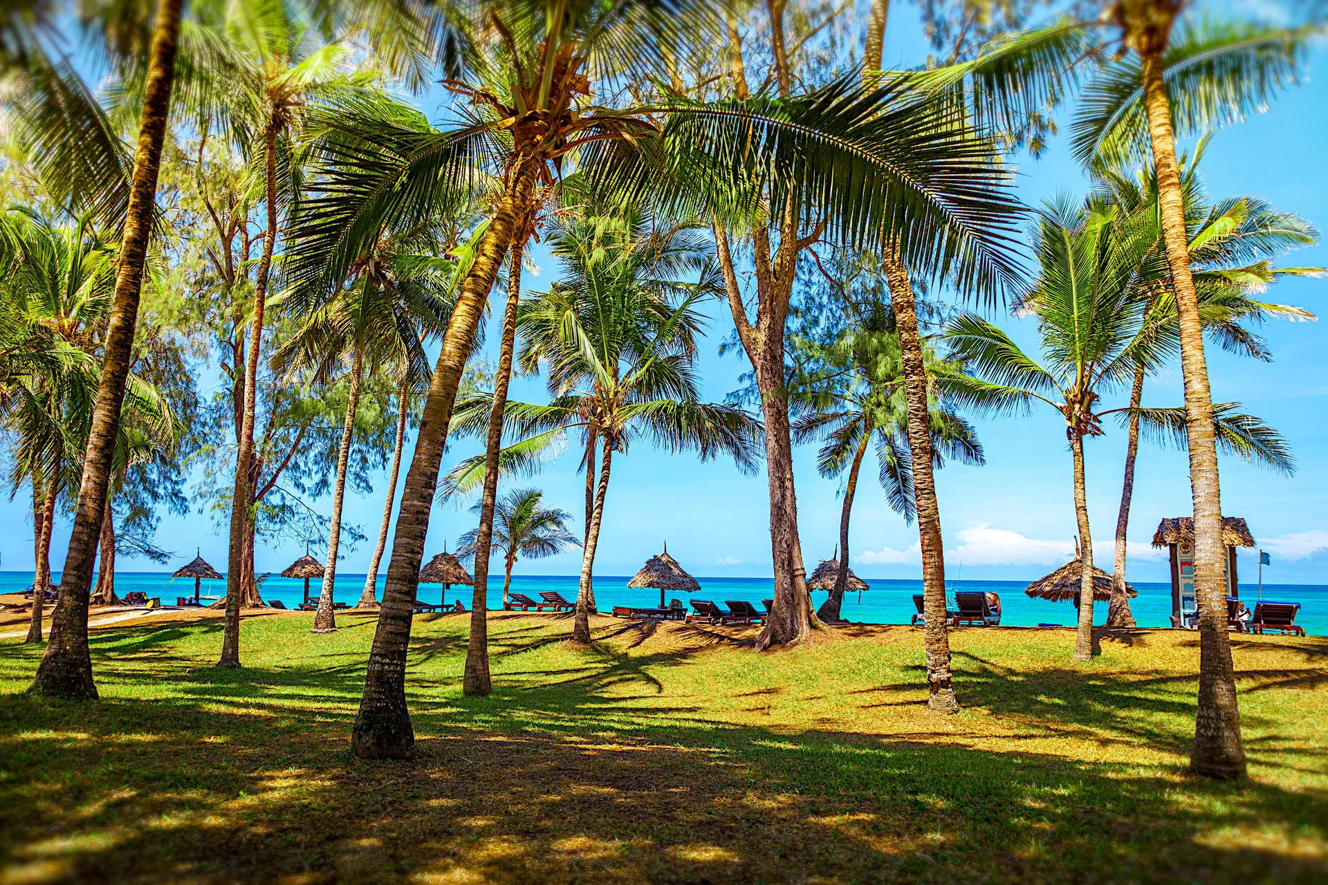 Diani Sea Resort 4*, фото 16