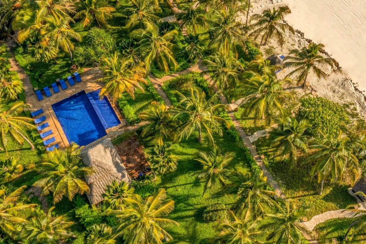 The Palms 5*