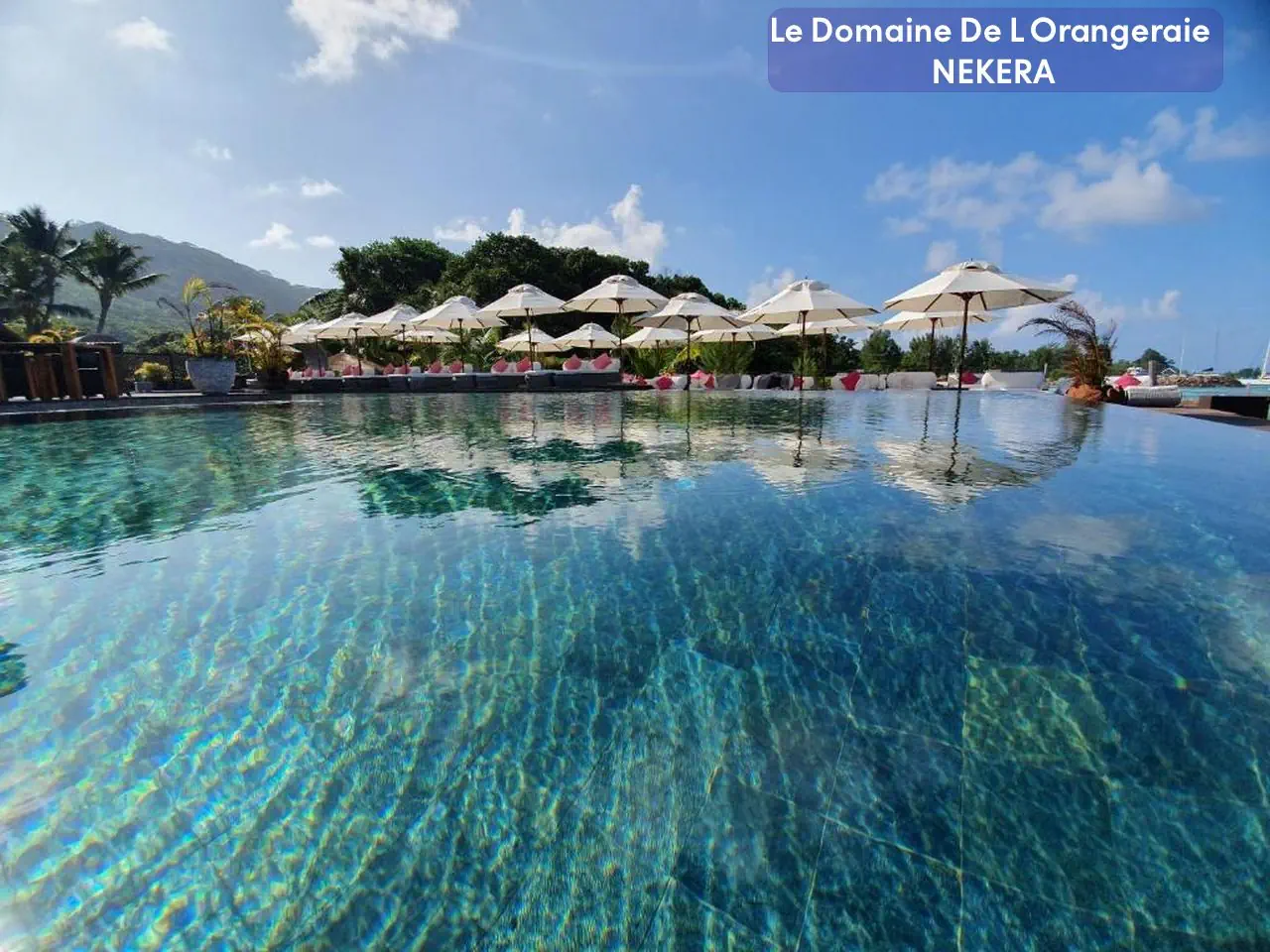 Le Domaine De L'Orangeraie 4*, фото 5