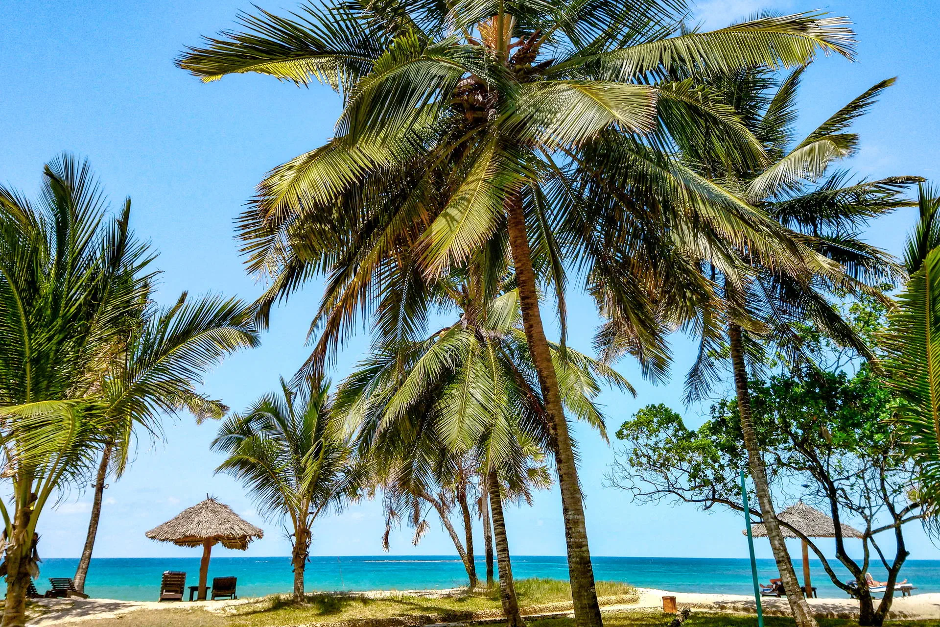Jacaranda Indian Ocean Beach Resort 4*, фото 4