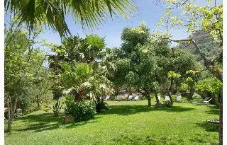 Alberi Del Paradiso 4*, фото 4