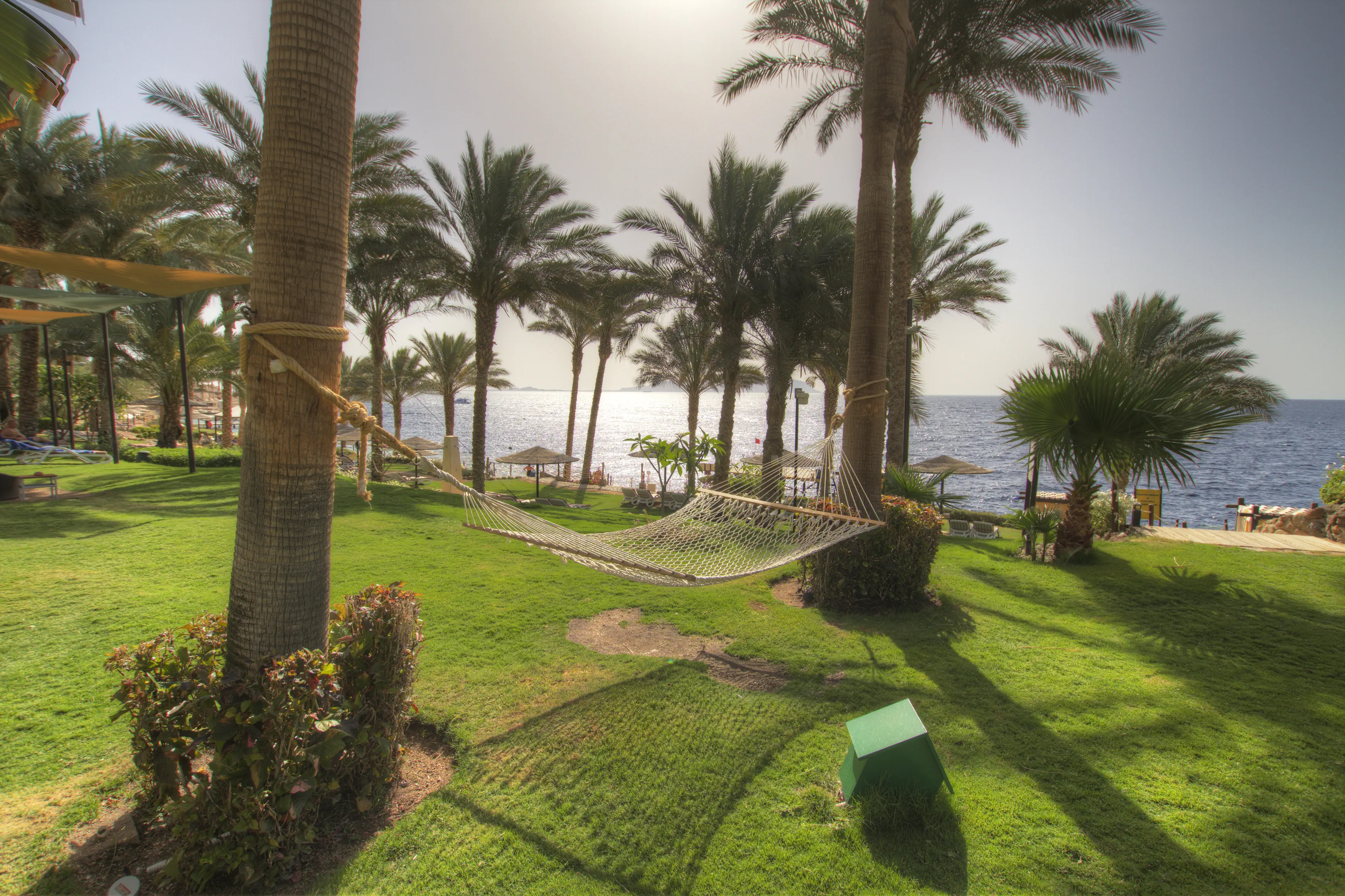 Grand Rotana Resort & Spa 5*