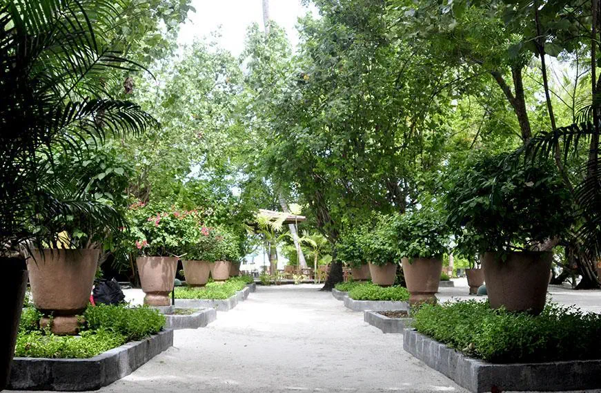 Embudu Village 3*, фото 6