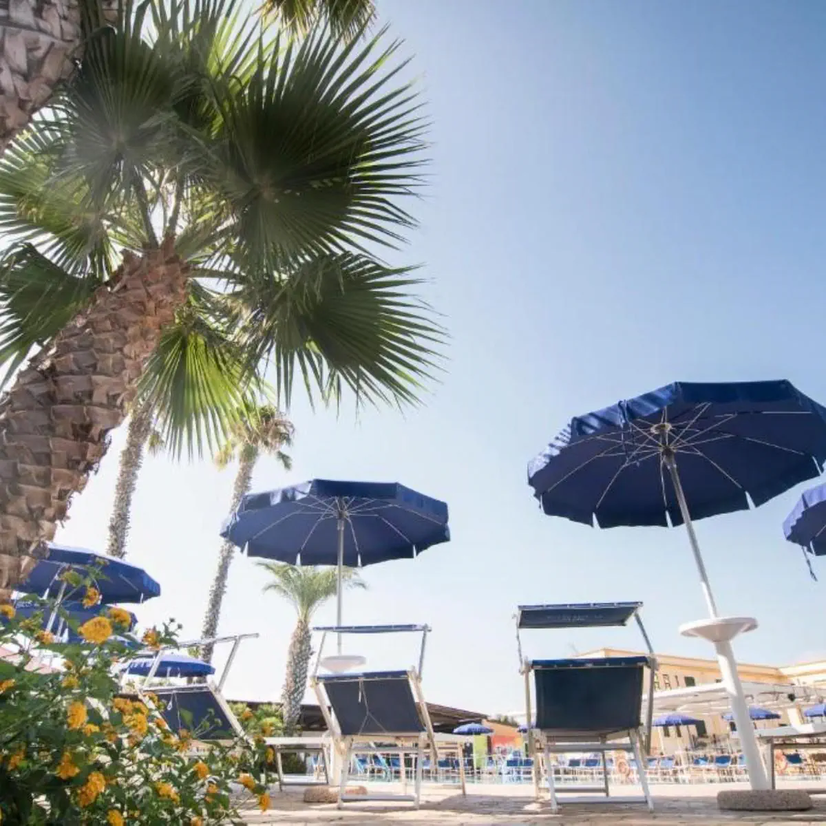 CDSHotels Delfino Beach 4*, фото 7