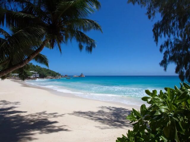 Anse Soleil Beachcomber