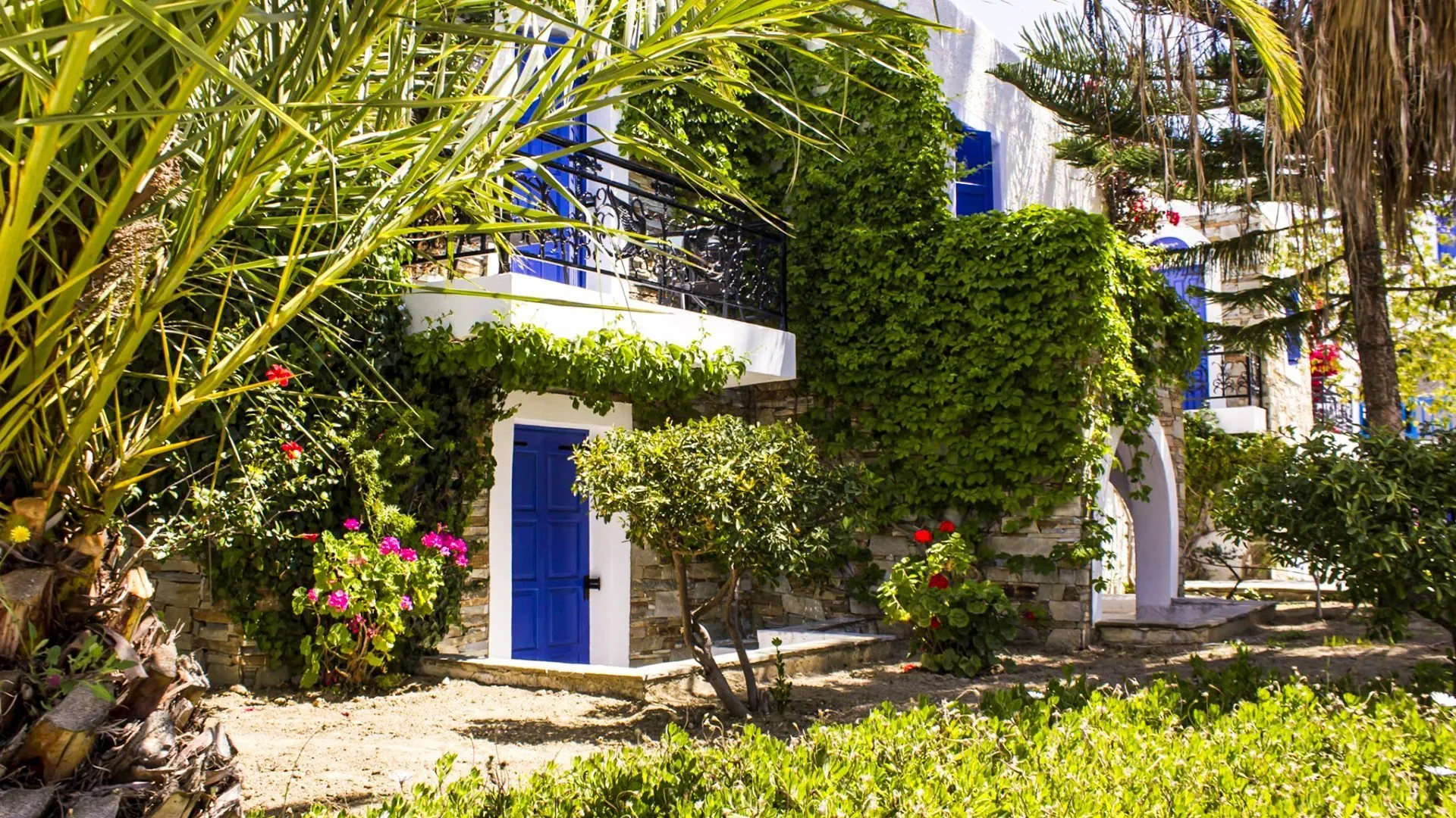 Naxos Holidays 3*, фото 12