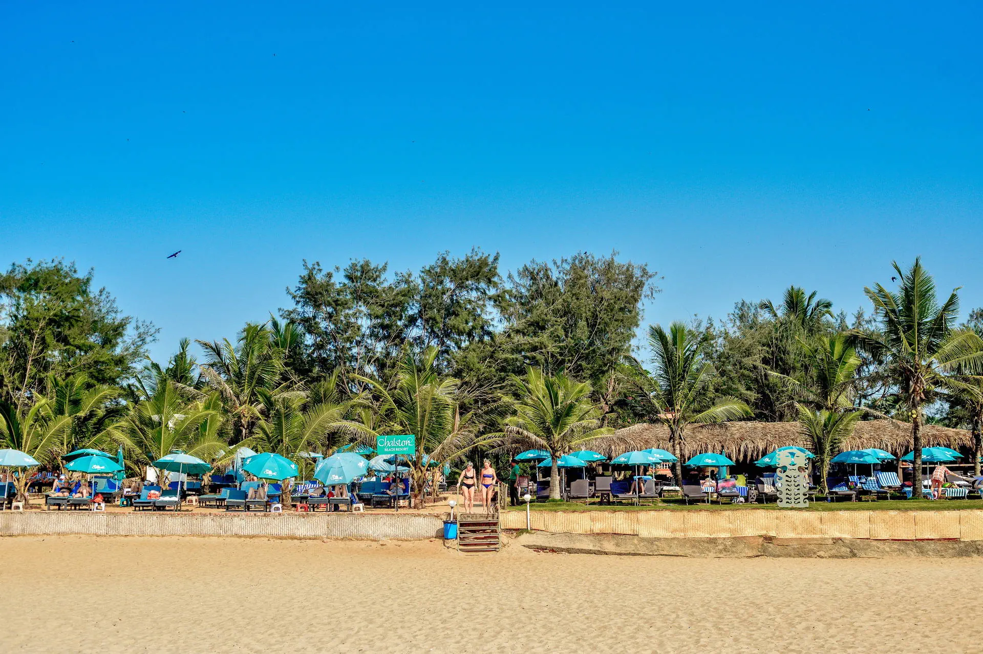 Chalston Beach Resort 3*, фото 6