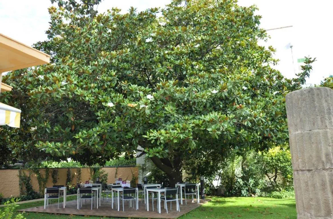 Sorrabona 3*, фото 3
