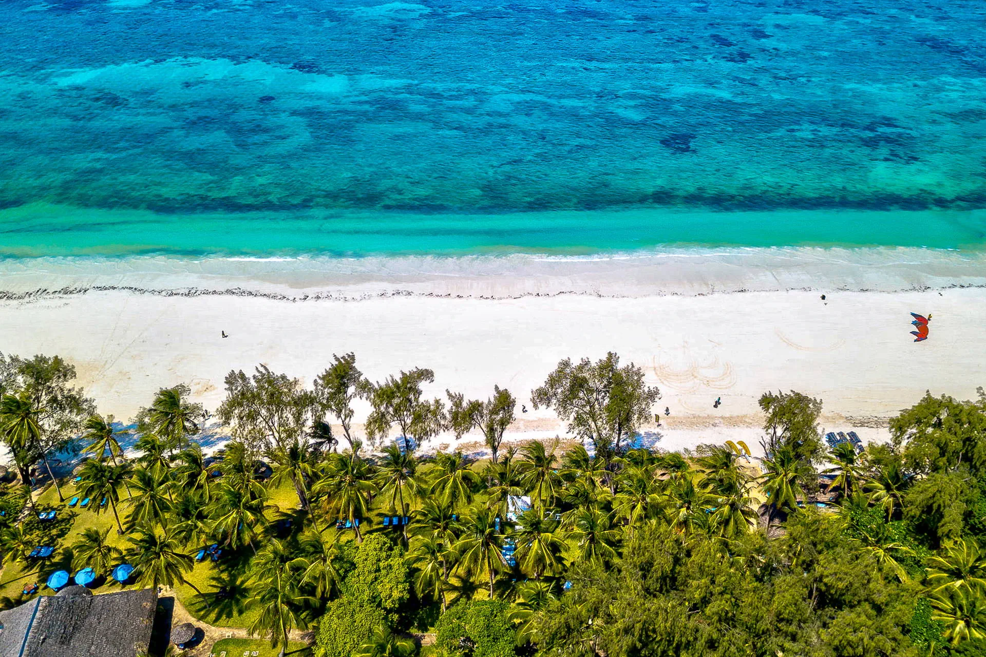 Diani Sea Lodge 4*, фото 13