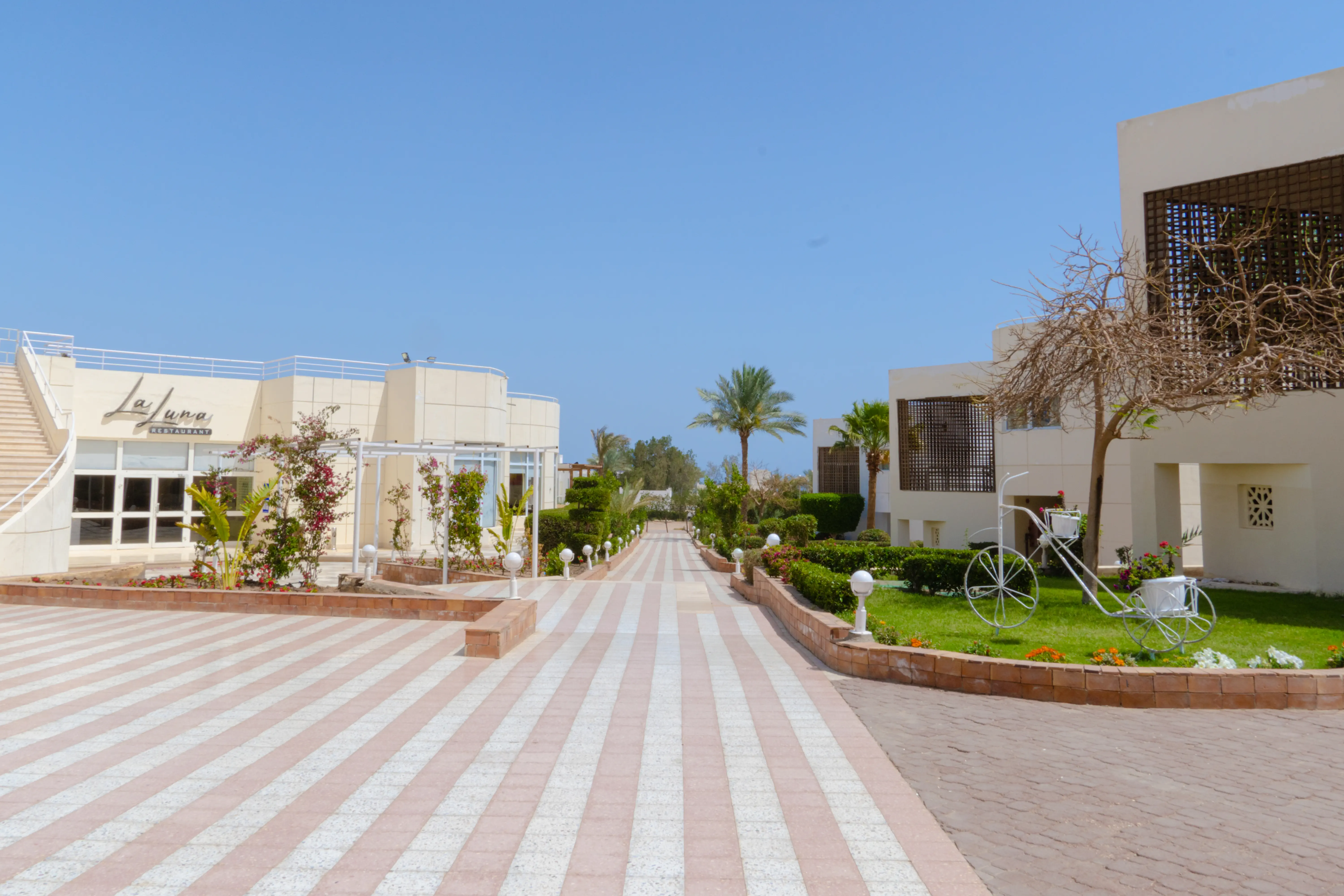 Sharm Reef Resort 3*, фото 6